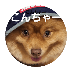 souya_20260225220759