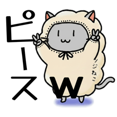 co&jack_20260226140803