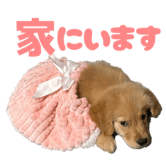 azm_20260226135642
