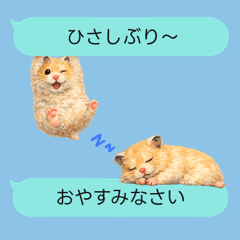 Golden Kinkuma Speech Bubbl...