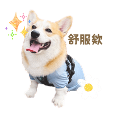 JuJu冒險世界