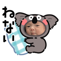 momo_20260226090742