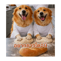 Ranee_20260226092724