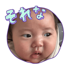 MOMO_20260226143617