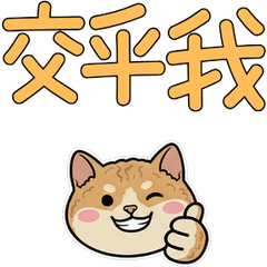 Taiwanese Cornish Rex  38