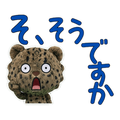 Wiggling Iriomote cat  58