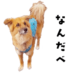 yomibitoshirazu LINE stickers & emoji | LINE STORE