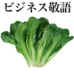 新鮮 菠菜　4