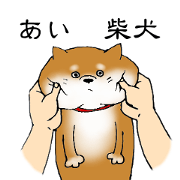 ai shibainu