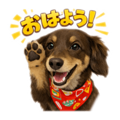 MAYU_20260225184559