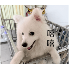 獅子頭很好吃