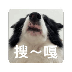 大家一起選出來的實用Soka