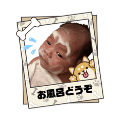 KAna_20260225223347