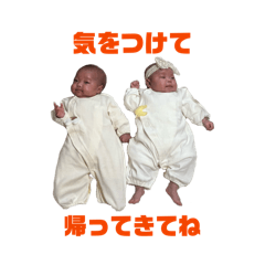 Ayumi_20260225224136