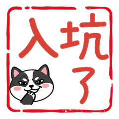 Waving Mini Bull Terrier  102