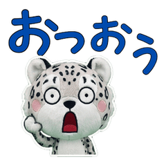 Wiggling Snow leopard  57