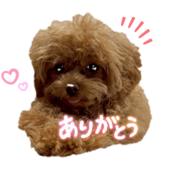 k_20260225185234