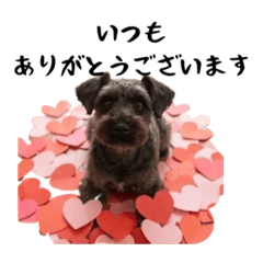 ohagidaisuki_20260225190156