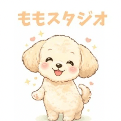 Momo Happy Days