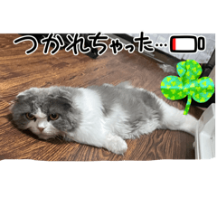chie_20260225210709