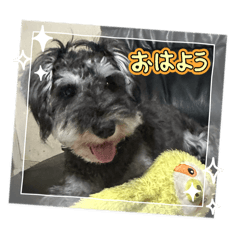 Luka's happy everyday