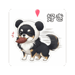 HENRI_20260226143125