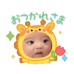K_20260226230533