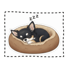 HENRI_20260226204326