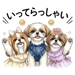 moco.peco_20260226173108