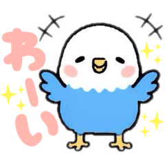 OTORI_20260226000426