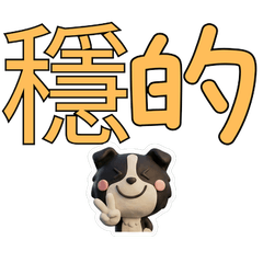 Taiwanese Border Collie  39