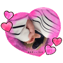 hamachan_20260226212936