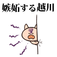 Pig Name koshikawa