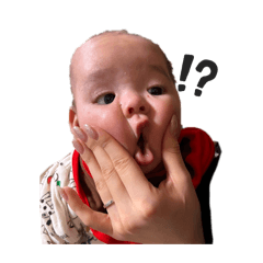 Seika_20260226015853