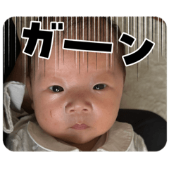 ゆみすずここ