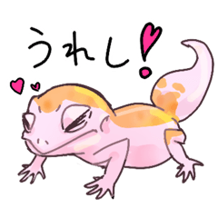 Kinaco_20260227042548