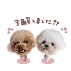 ベアちゃん♡うゆちゃんpinkmix