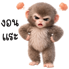 ลิงกังน่ารัก แดนปลาดิบ (บิ๊ก)