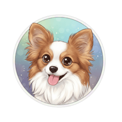 RONRON_20260226182244