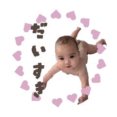 ayamame_20260227080320