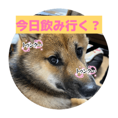 masa_20260226123313