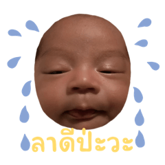 Supansa_20260226143309