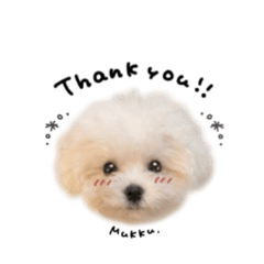 ムックくん☆モノクロmix