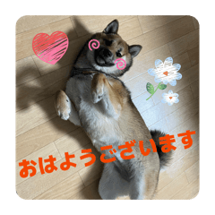 masa_20260226161320