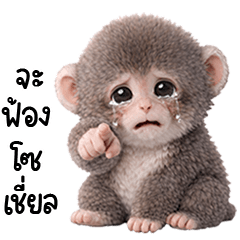 LinKung Baby Snow Monkey