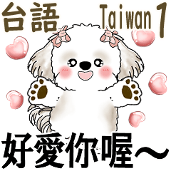 Cute Shih Tzu in Taiwanese 1