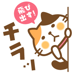 Popup! Calico cat Miketa-san Sticker