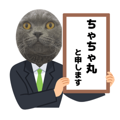 OKUYAMA_20260226124150