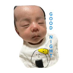 RISA_20260226125936