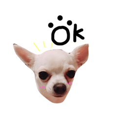 haru to yukaina nakamatachi